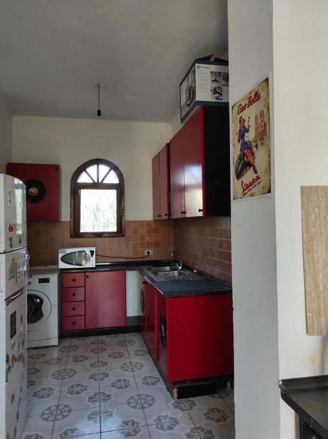 Pinegroove Hostel Vlora Luaran gambar