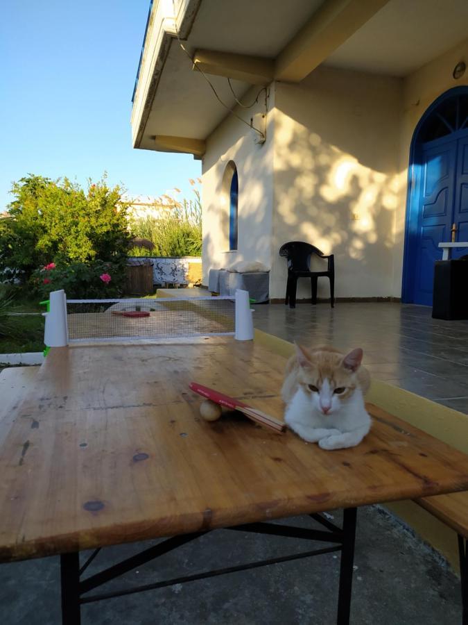 Pinegroove Hostel Vlora Luaran gambar