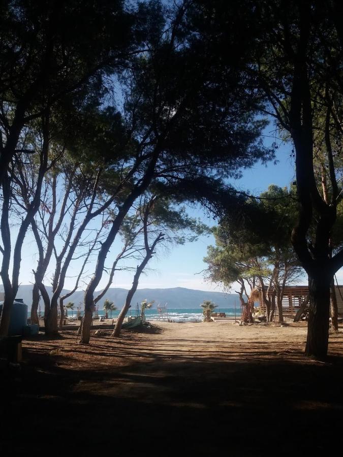 Pinegroove Hostel Vlora Luaran gambar