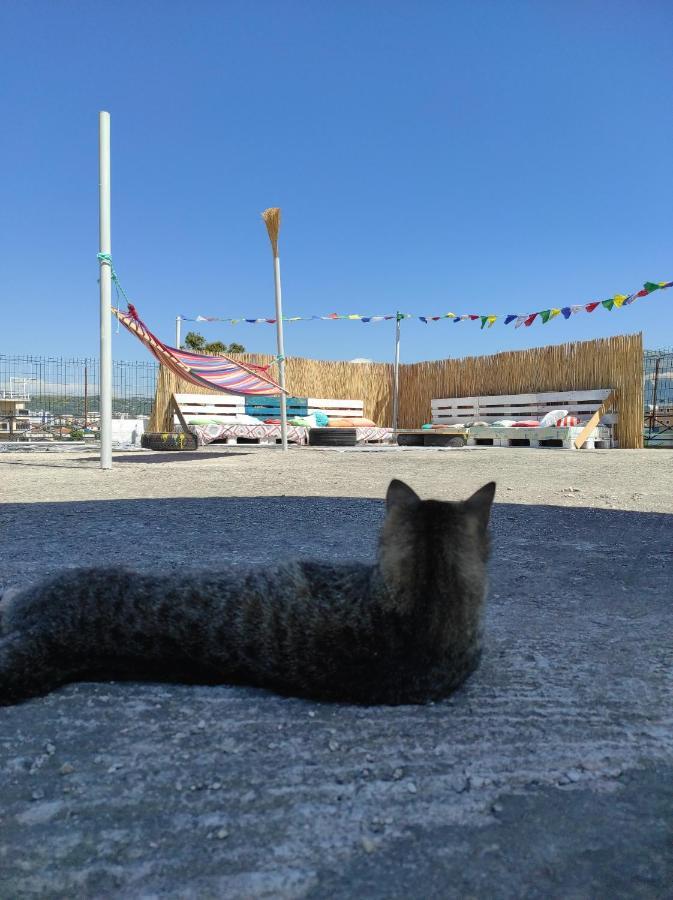 Pinegroove Hostel Vlora Luaran gambar