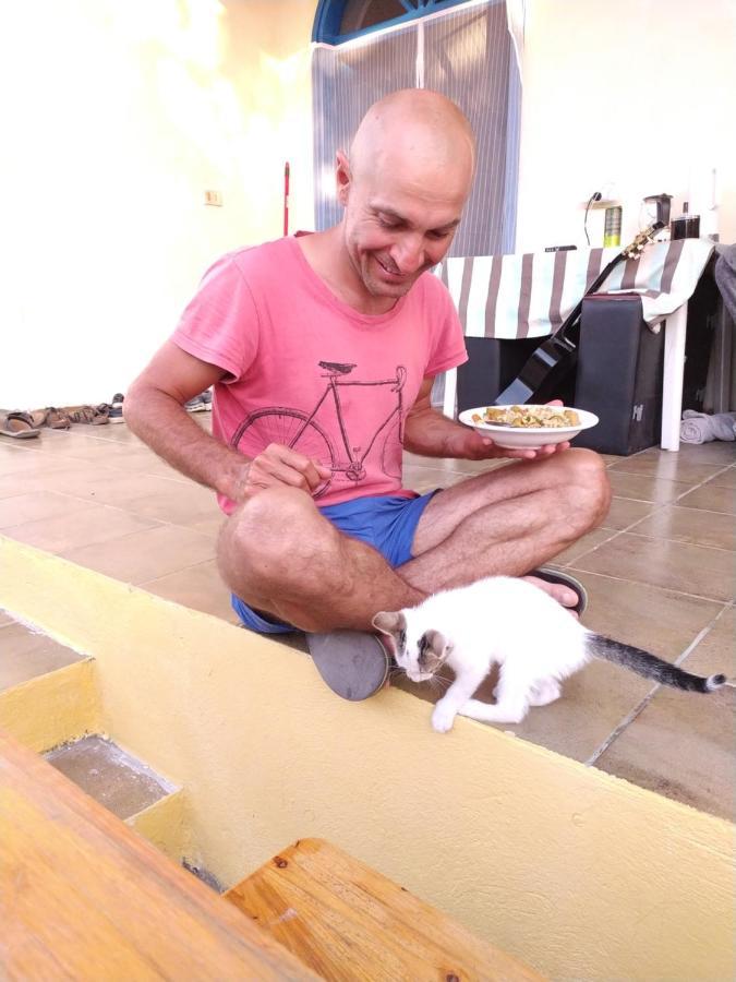 Pinegroove Hostel Vlora Luaran gambar